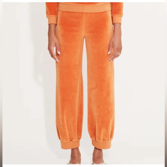 Suzi Kondi Pants - Suzie Kondi high waist harem velour pants in autumn maple Size XS